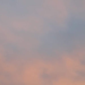 Meet your Posher, Ava